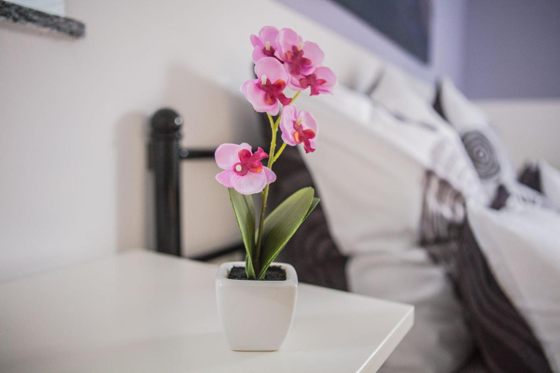 Ferienwohnung Leipzig Sued Markkleeberg Buitenkant foto
